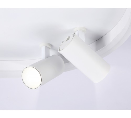 Накладной светильник Ambrella Light FL5112 FL