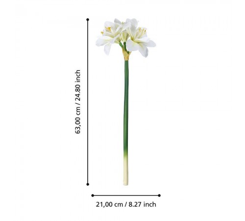 Цветок (210x630) Molave 428112