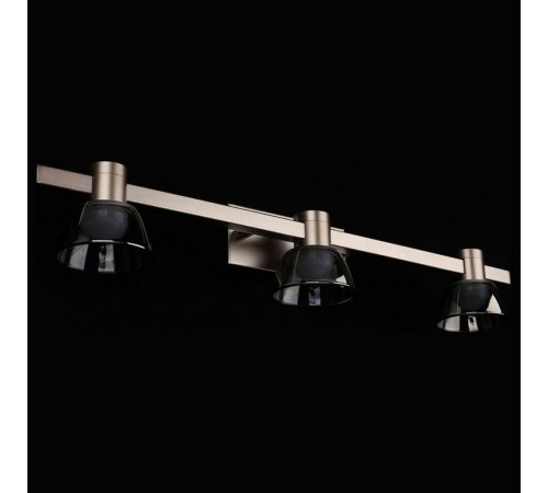 Бра Aployt APL.788.01.03 Rezeda