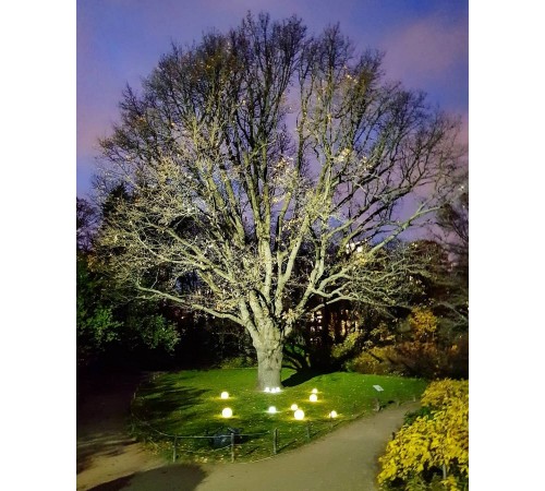 Садовая фигура Uniel UL-00003302 Ulg