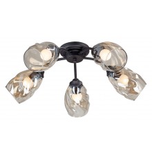 Потолочная люстра Vitaluce V4929-1/5PL 4929