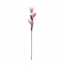 Цветок (200x850) Molave 428117