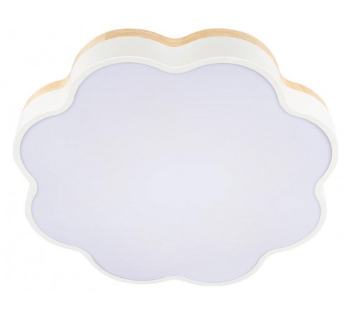 Накладной светильник Loft it 10225/36 White Axel