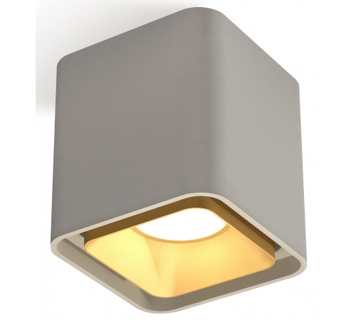 Накладной светильник Ambrella Light XS7842004 XS