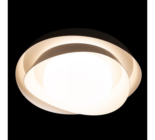 Накладной светильник Loft it 10256 Black Petale