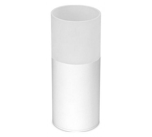 Накладной светильник Ambrella Light TN230 TN