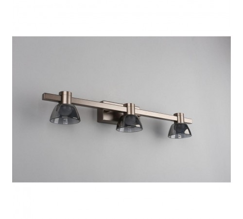 Бра Aployt APL.788.01.03 Rezeda