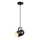 Подвесной светильник Ambrella Light TR8206 TR