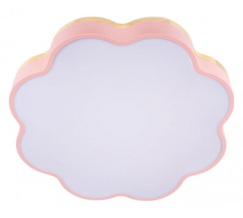 Накладной светильник Loft it 10225/36 Pink Axel