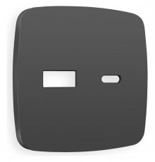 Накладка для розетки type A и C Ambrella Volt OP9110 Quant