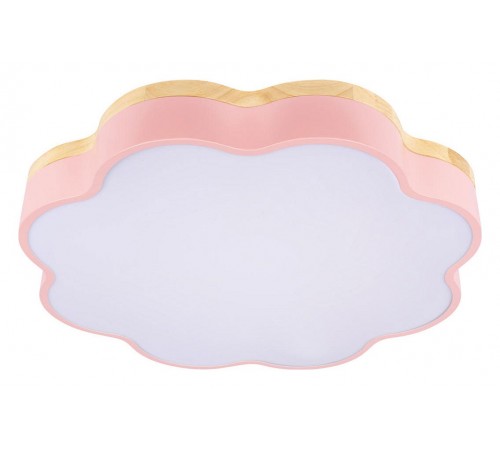 Накладной светильник Loft it 10225/36 Pink Axel