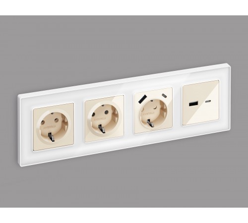 Накладка для розетки type A и C Ambrella Volt AP3110 Quant