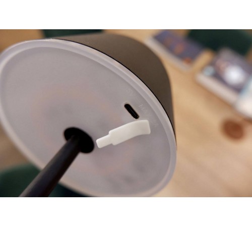 Настольная лампа декоративная Eglo 900458 Mannera