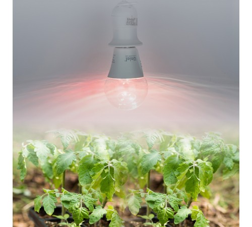 Лампа светодиодная Uniel UL-00011438 LED