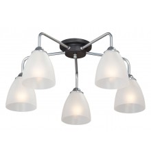 Потолочная люстра Vitaluce V4500-9/5PL V4500