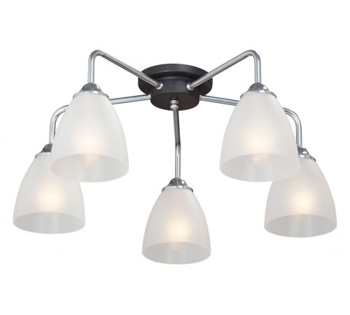 Потолочная люстра Vitaluce V4500-9/5PL V4500