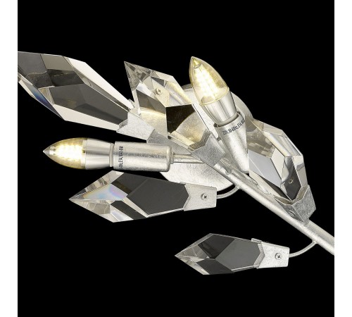 Бра Wertmark WE111.02.201 Casandra