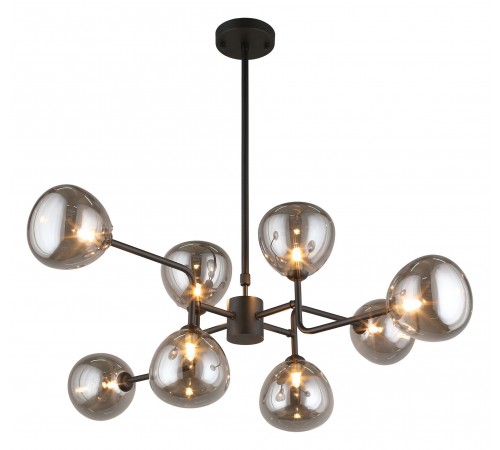 Люстра на штанге Aployt APL.913.07.08 Roser