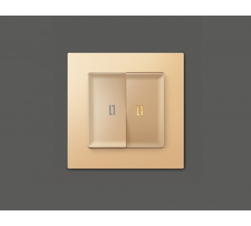 Выключатель двухклавишный с подсветкой без рамки Ambrella Volt MA604010 Quant