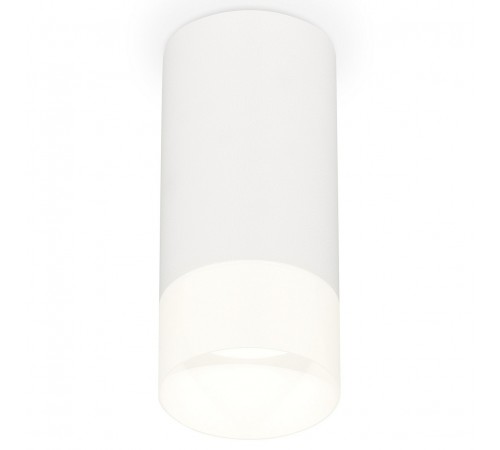 Накладной светильник Ambrella Light XS8161003 XS