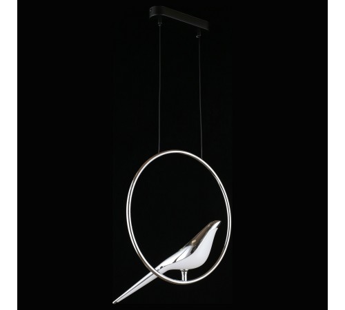 Подвесной светильник Aployt APL.822.16.10 Astor