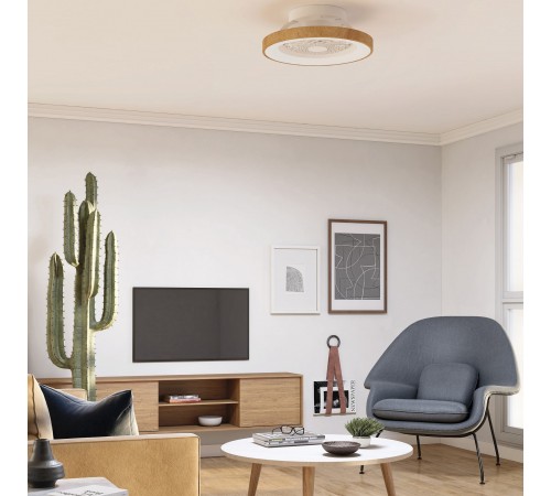 Светильник с вентилятором Mantra (люстры-вентиляторы) 7806 Tibet