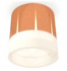 Накладной светильник Ambrella Light XS8122010 XS