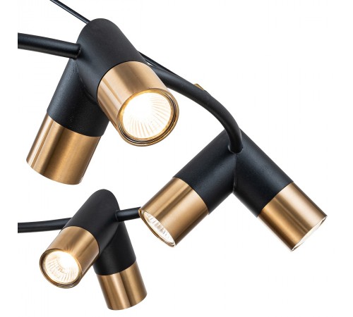 Подвесная люстра Indigo 11036/12P Black Doppio