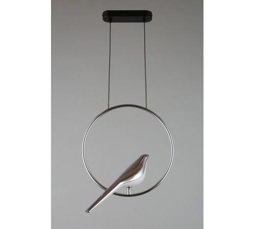 Подвесной светильник Aployt APL.822.16.10 Astor