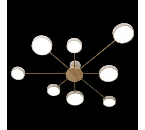 Потолочная люстра Loft it 10316/8 White Sunrise