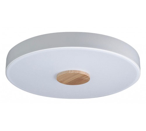 Накладной светильник Loft it 10003/24 White Axel 2