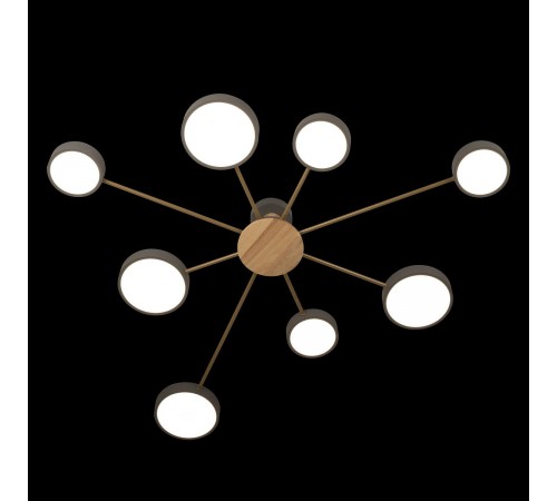 Потолочная люстра Loft it 10316/8 Grey Sunrise