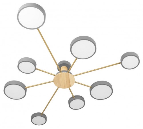 Потолочная люстра Loft it 10316/8 Grey Sunrise