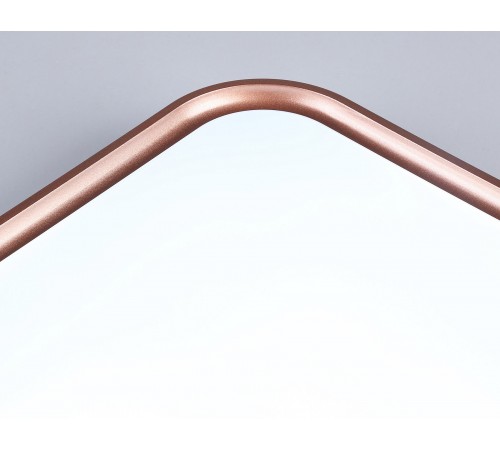 Накладной светильник Ambrella Light FZ1271 FZ