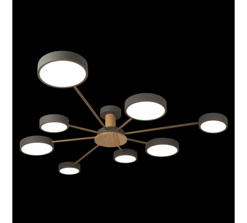 Потолочная люстра Loft it 10316/8 Grey Sunrise