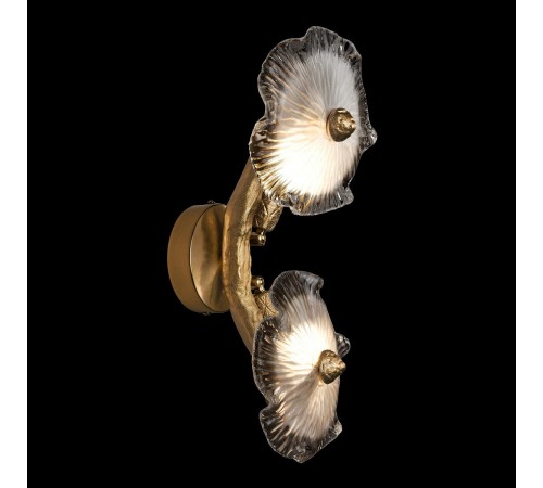 Бра Loft it 10352/2W AB Bloom