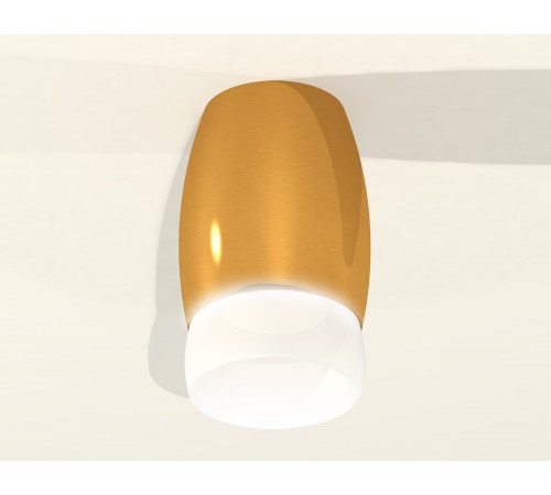 Накладной светильник Ambrella Light XS1125023 XS