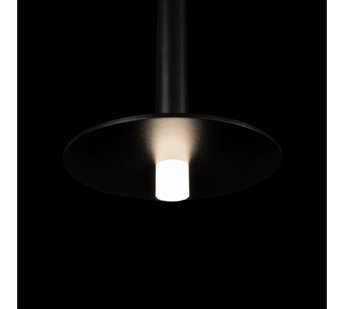 Подвесной светильник Loft it 10358/830 Disk Reed