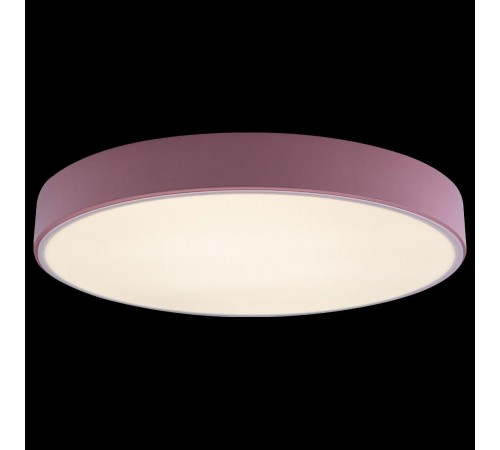 Накладной светильник Loft it 10002/24 Pink Axel 1