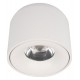 Накладной светильник Loft it 10219 White 4000K Tictac