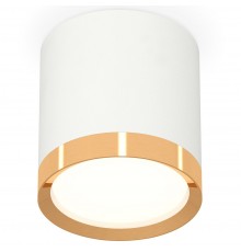 Накладной светильник Ambrella Light XS8141004 XS