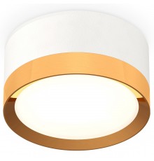 Накладной светильник Ambrella Light XS8101005 XS