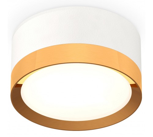 Накладной светильник Ambrella Light XS8101005 XS