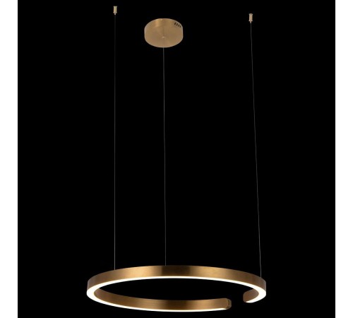 Подвесной светильник Loft it 10013L Ring