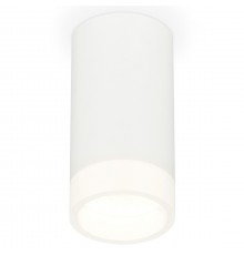 Накладной светильник Ambrella Light XS8161002 XS