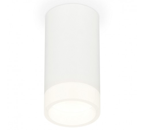 Накладной светильник Ambrella Light XS8161002 XS