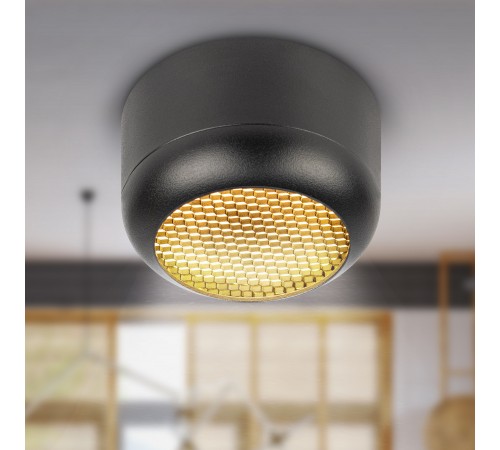 Накладной светильник Эра OL56 BK