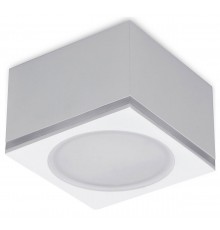 Накладной светильник Ambrella Light TN266 TN