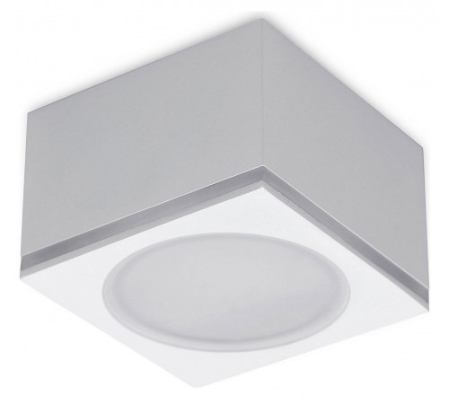 Накладной светильник Ambrella Light TN266 TN