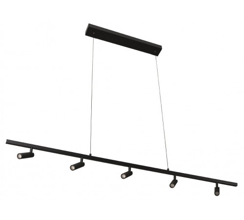 Подвесной светильник Loft it 10260/5 Black Sign